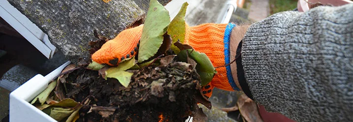 Person reinigt Dachrinne mit Laub